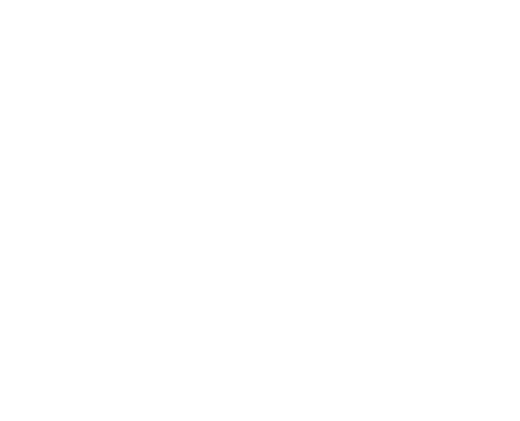 the ark logo white