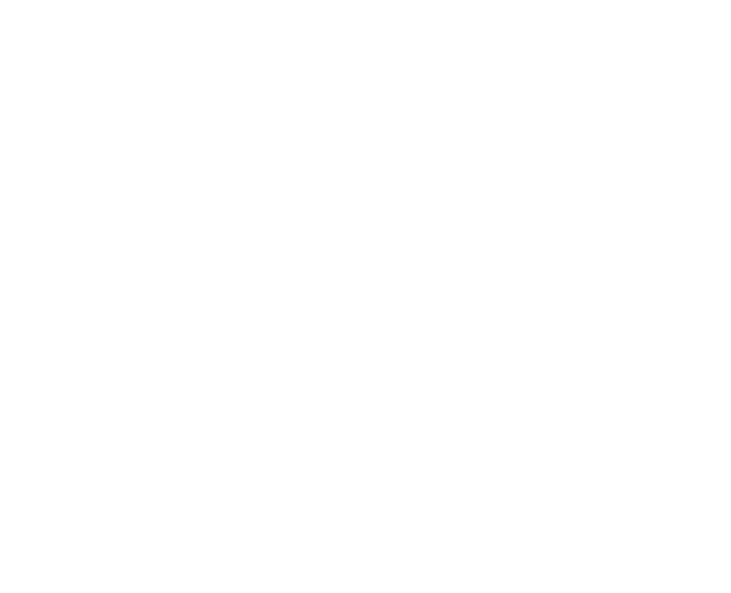 the ark logo white